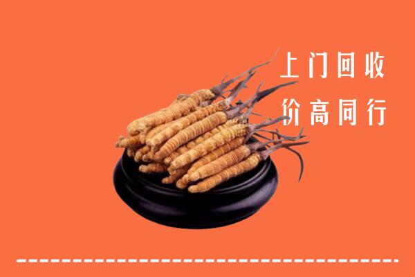 高价求购：伊美区回收散虫草