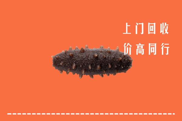 高价求购：伊美区回收海参