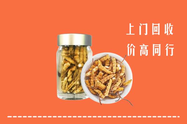 伊美区回收冬虫夏草