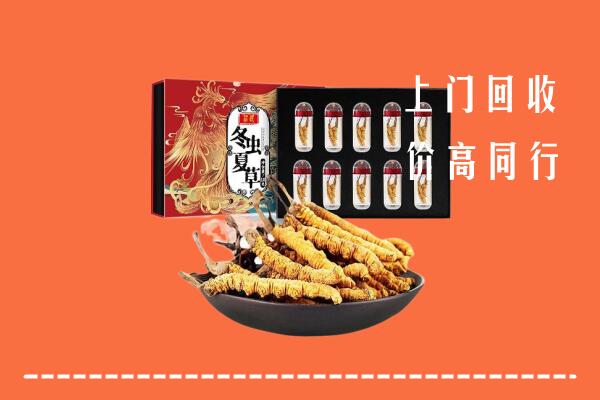 伊美区回收虫草